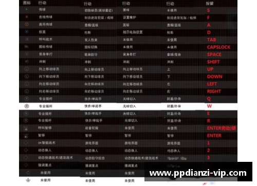 pp电子NBA球员排名详解：数据分析与职业生涯评估